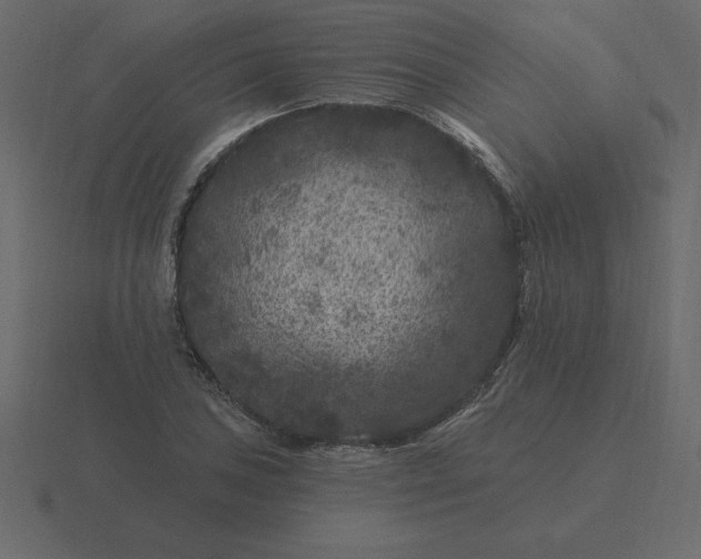 X0000116611027200912241729