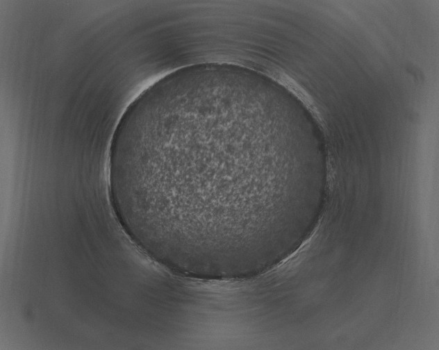 X0000116611028200912241729