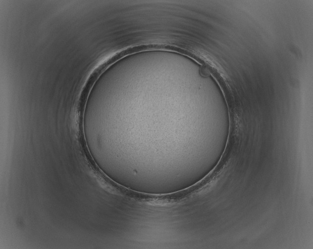 X0000116611029200912241729