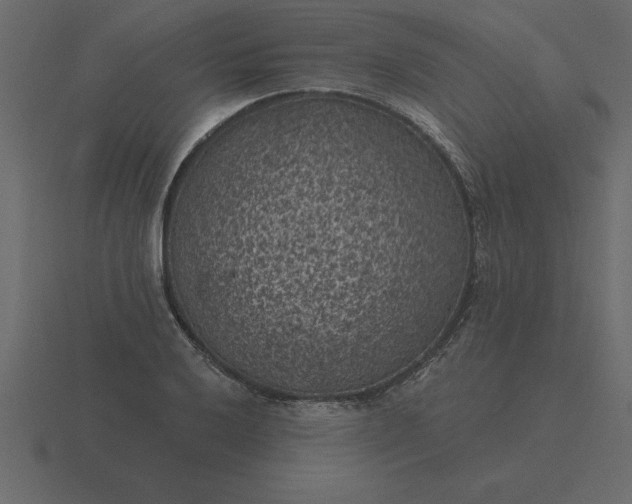 X0000116611032200912241729