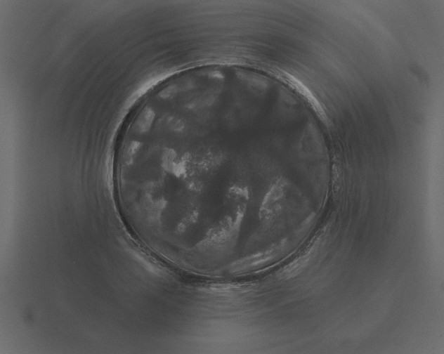 X0000116611035200912241729