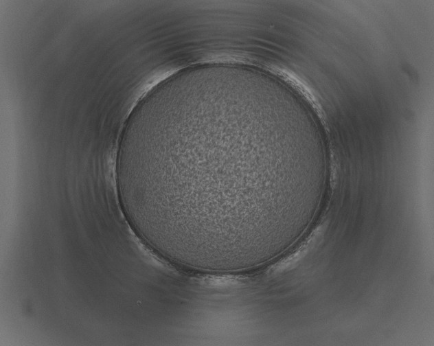 X0000116611041200912241729