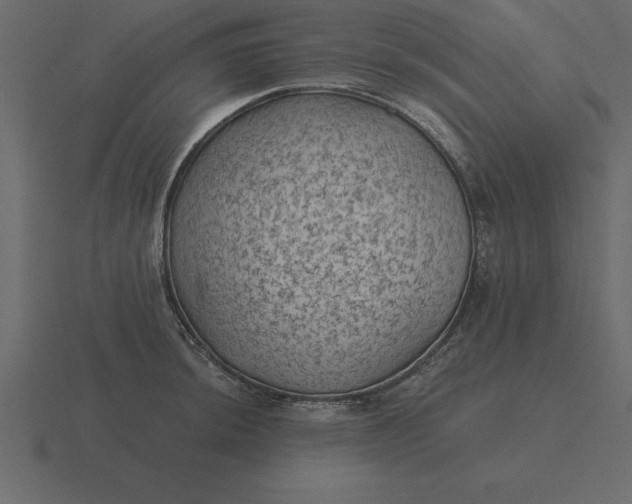 X0000116611044200912241729