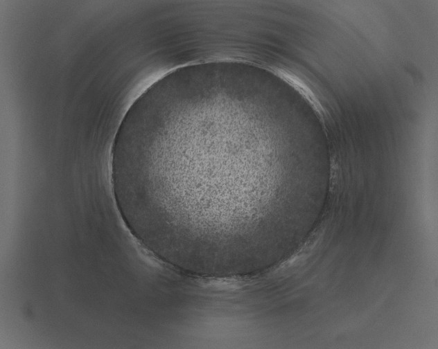 X0000116611047200912241729