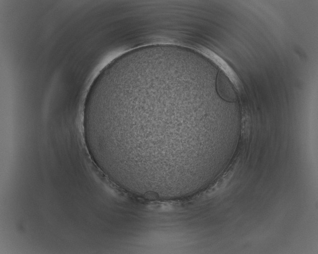 X0000116611051200912241729