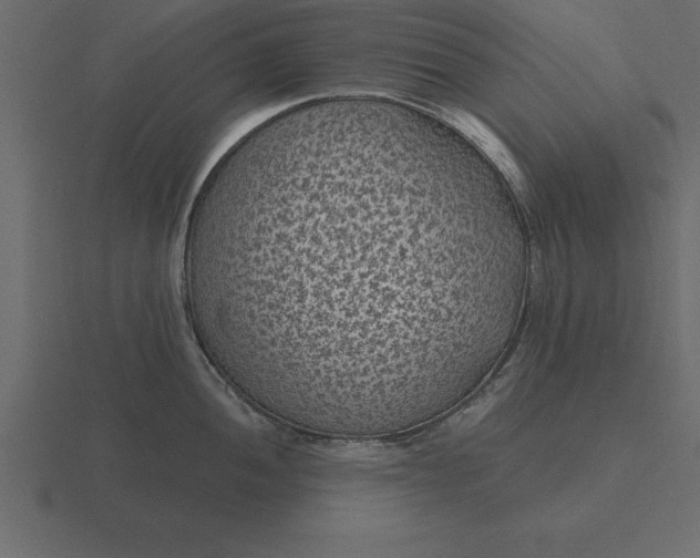 X0000116611052200912241729