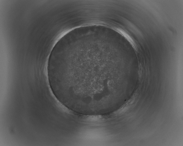 X0000116611055200912241729