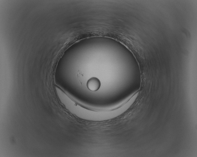 X0000116611057200912241729