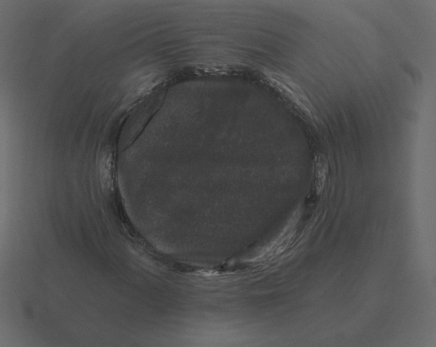 X0000116611060200912241729