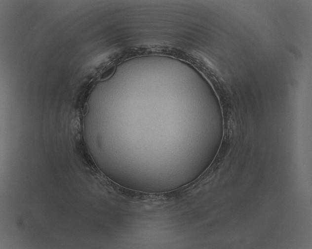 X0000116611062200912241729