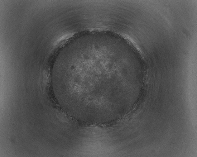 X0000116611063200912241729