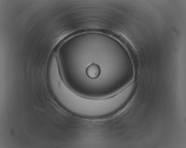 X0000116611065200912241729