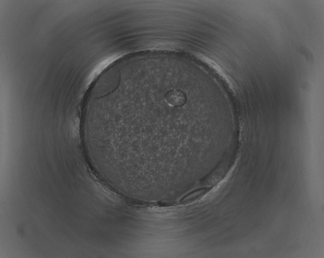 X0000116611066200912241729