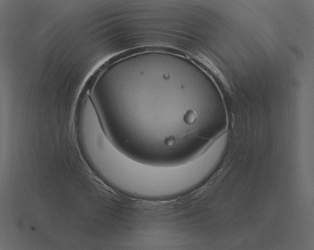 X0000116611068200912241729