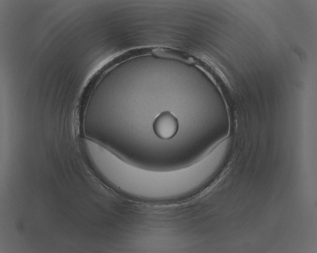 X0000116611069200912241729