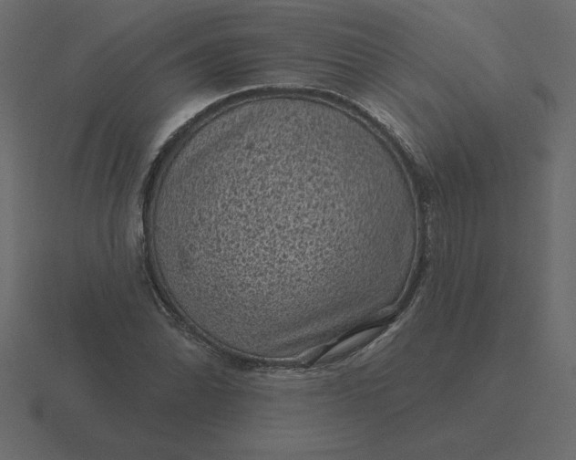 X0000116611070200912241729