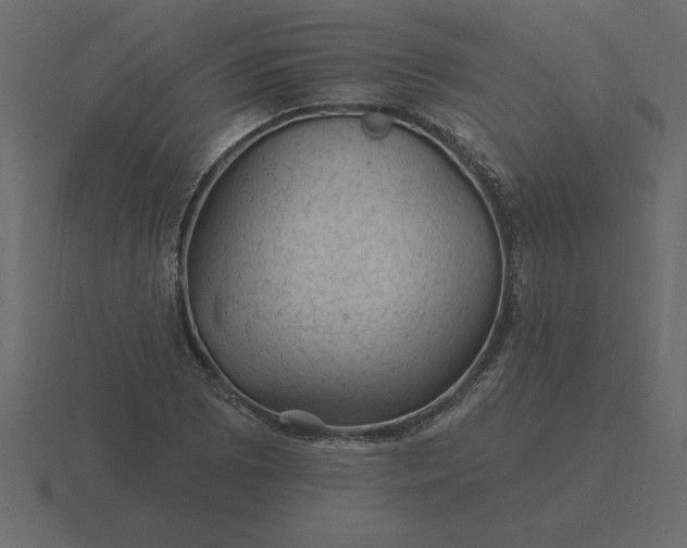 X0000116611073200912241729