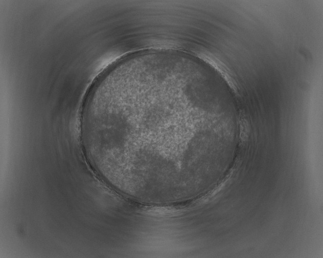 X0000116611074200912241729