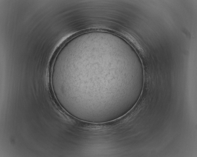 X0000116611076200912241729