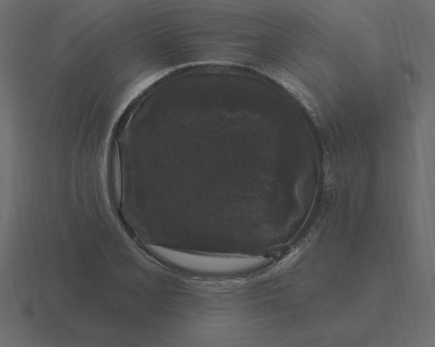 X0000116611077200912241729