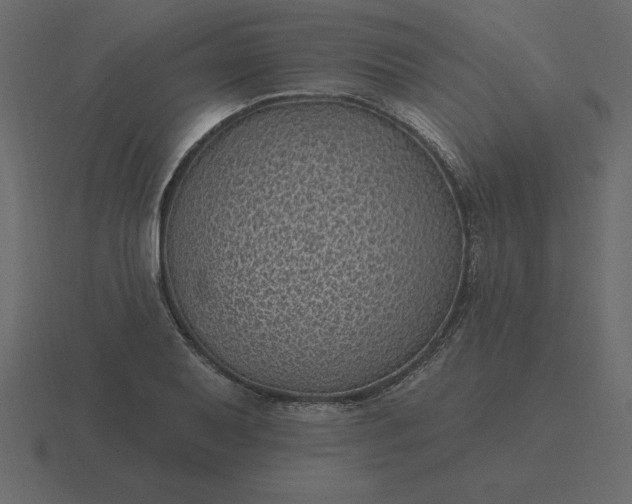 X0000116611079200912241729