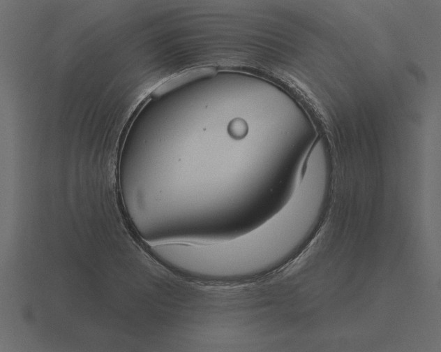 X0000116611081200912241729