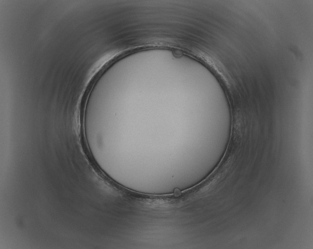 X0000116611082200912241729