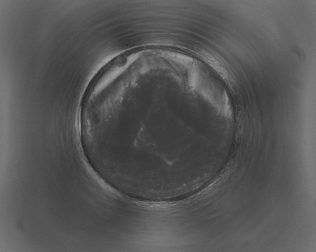 X0000116611084200912241729