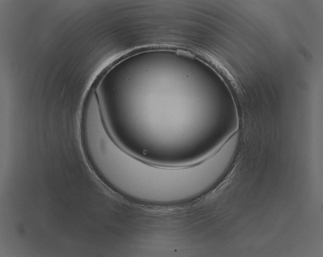 X0000116611085200912241729