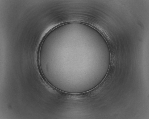 X0000116611086200912241728