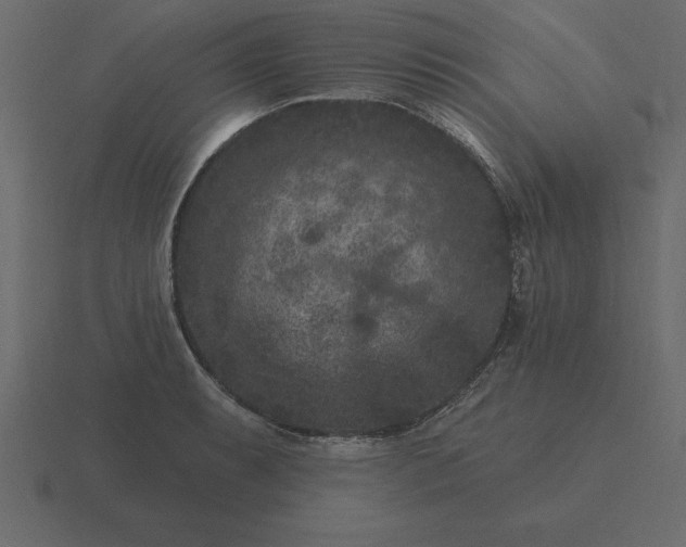 X0000116611087200912241728