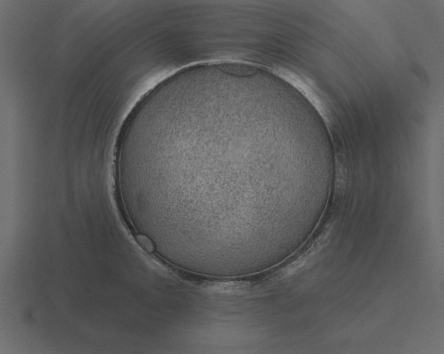 X0000116611093200912241728