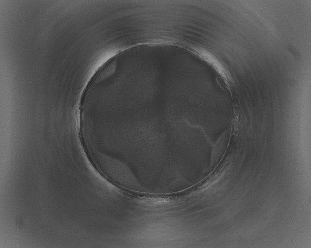 X0000116611095200912241728