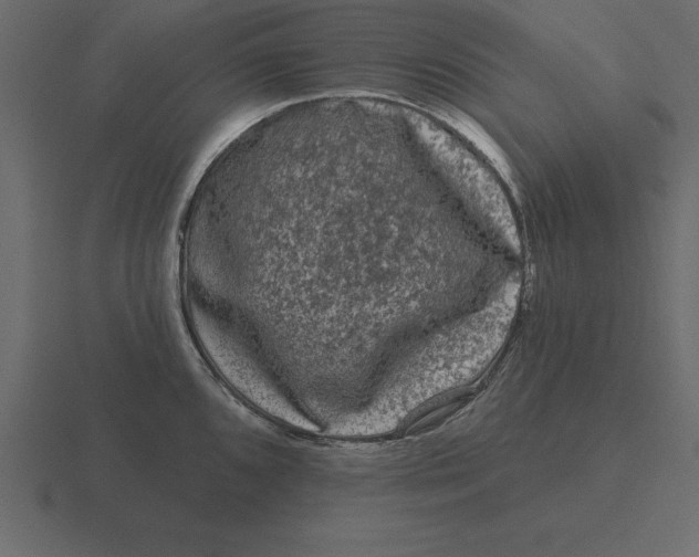 X0000116611096200912241728