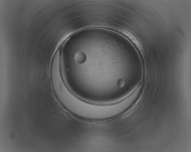 X0000116611097200912241728