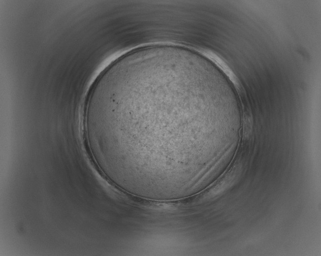 X0000116611101200912241728