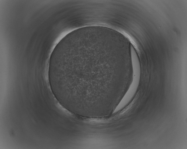 X0000116611102200912241728