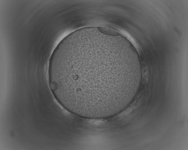 X0000116611103200912241728