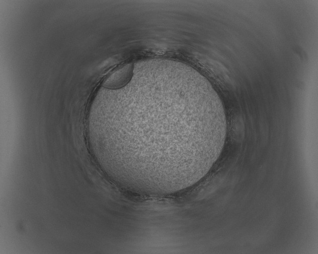 X0000116611105200912241728