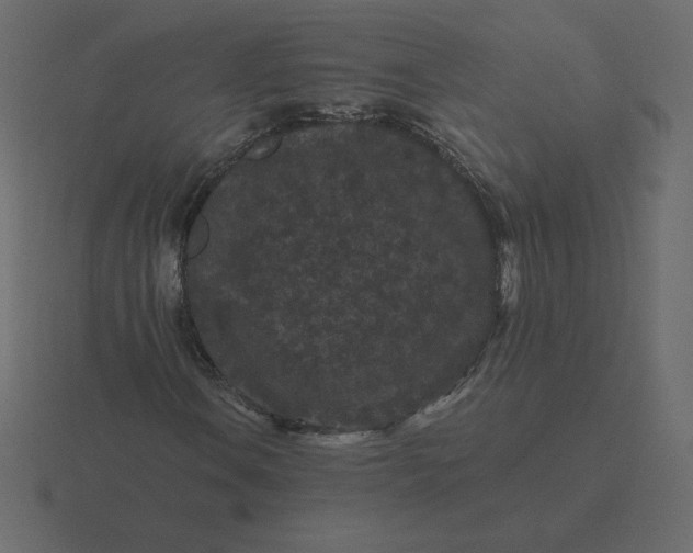 X0000116611106200912241728