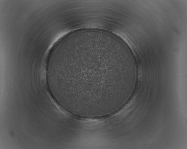 X0000116611115200912241728