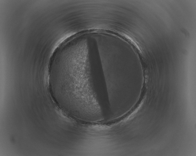 X0000116611117200912241728