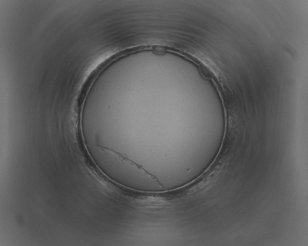 X0000116611119200912241728