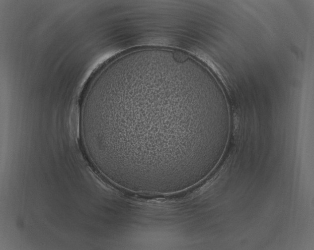 X0000116611123200912241728