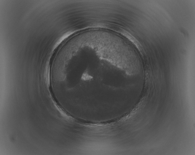 X0000116611127200912241728