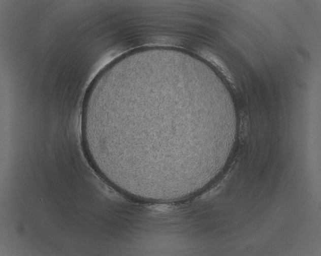 X0000116611130200912241728