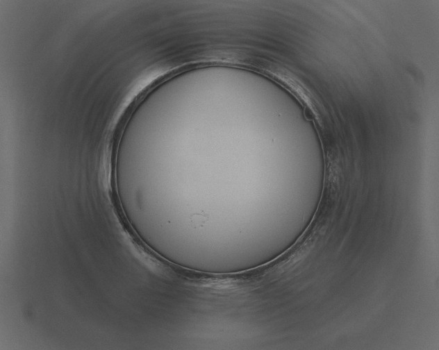 X0000116611131200912241728