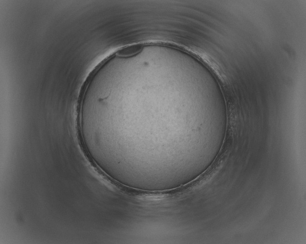 X0000116611134200912241728