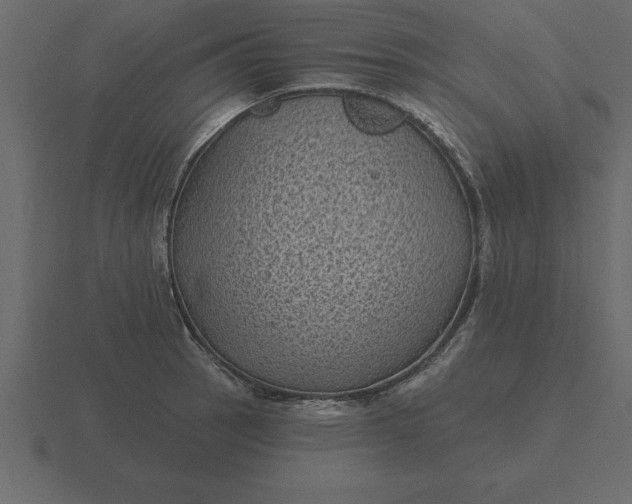 X0000116611137200912241728