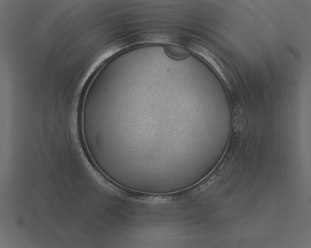 X0000116611139200912241728